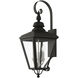 Adams 3 Light 10.63 inch Black with Brushed Nickel Finish Cluster Outdoor Large Wall Lantern Wall Light
