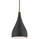 Amador 1 Light 6.25 inch Textured Black with Antique Brass Accents Mini Pendant Ceiling Light