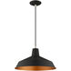 Allison 1 Light 16 inch Black Mini Pendant Ceiling Light