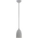 Arlington 1 Light 6 inch Nordic Gray with Brushed Nickel Accents Pendant Ceiling Light