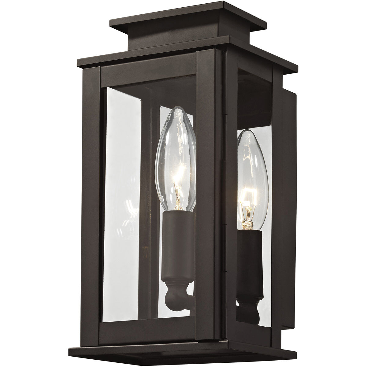 Princeton 1 Light 9 inch Bronze Outdoor Wall Lantern