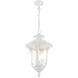 Oxford 3 Light 11 inch Textured White Outdoor Pendant Lantern