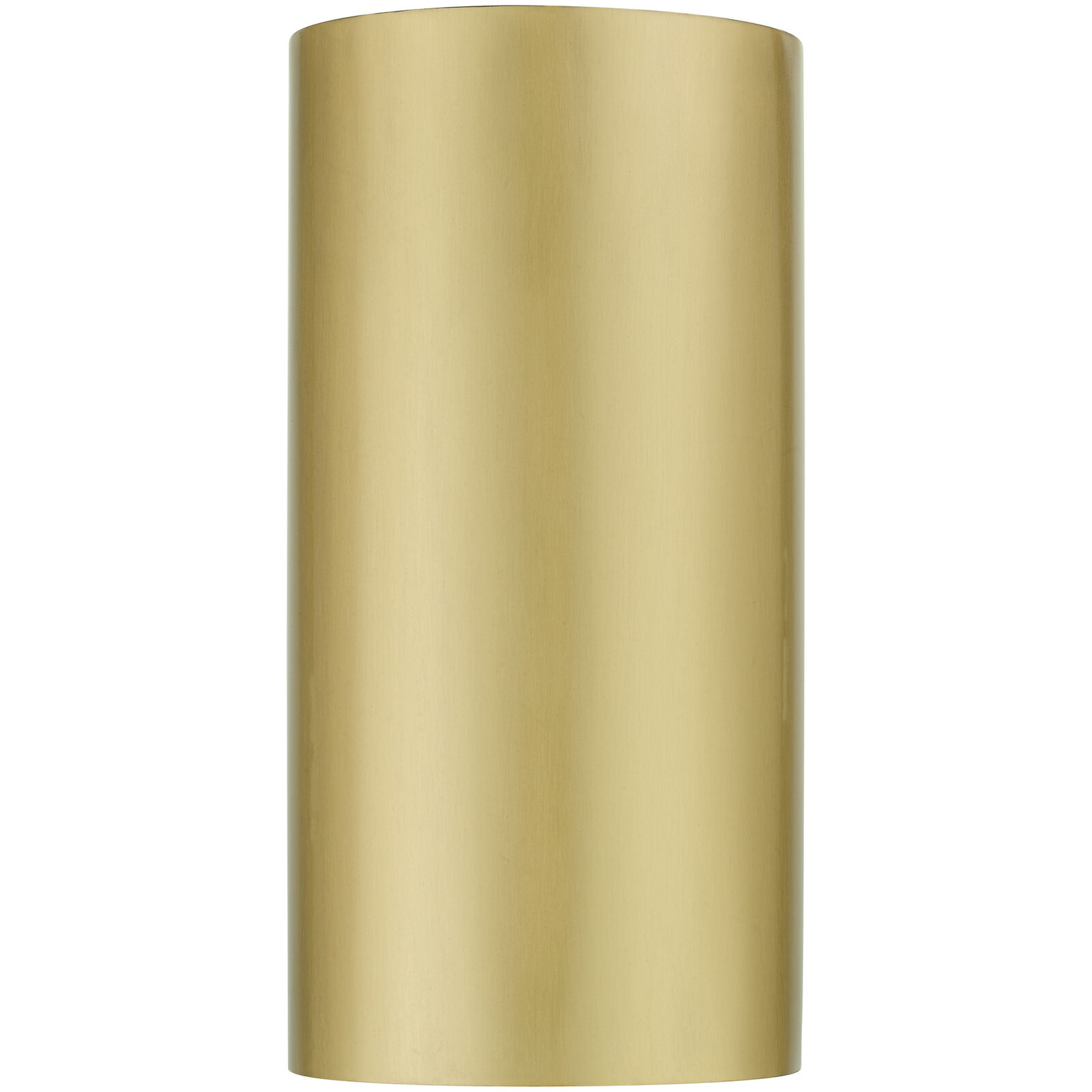 Bond 1 Light 10 inch Satin Gold Outdoor / Indoor Sconce, Medium