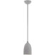 Arlington 1 Light 6 inch Nordic Gray with Brushed Nickel Accents Pendant Ceiling Light