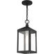 Nyack 1 Light 6 inch Black with Brushed Nickel Cluster Outdoor Pendant Lantern