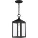 Nyack 1 Light 6 inch Black with Brushed Nickel Cluster Outdoor Pendant Lantern