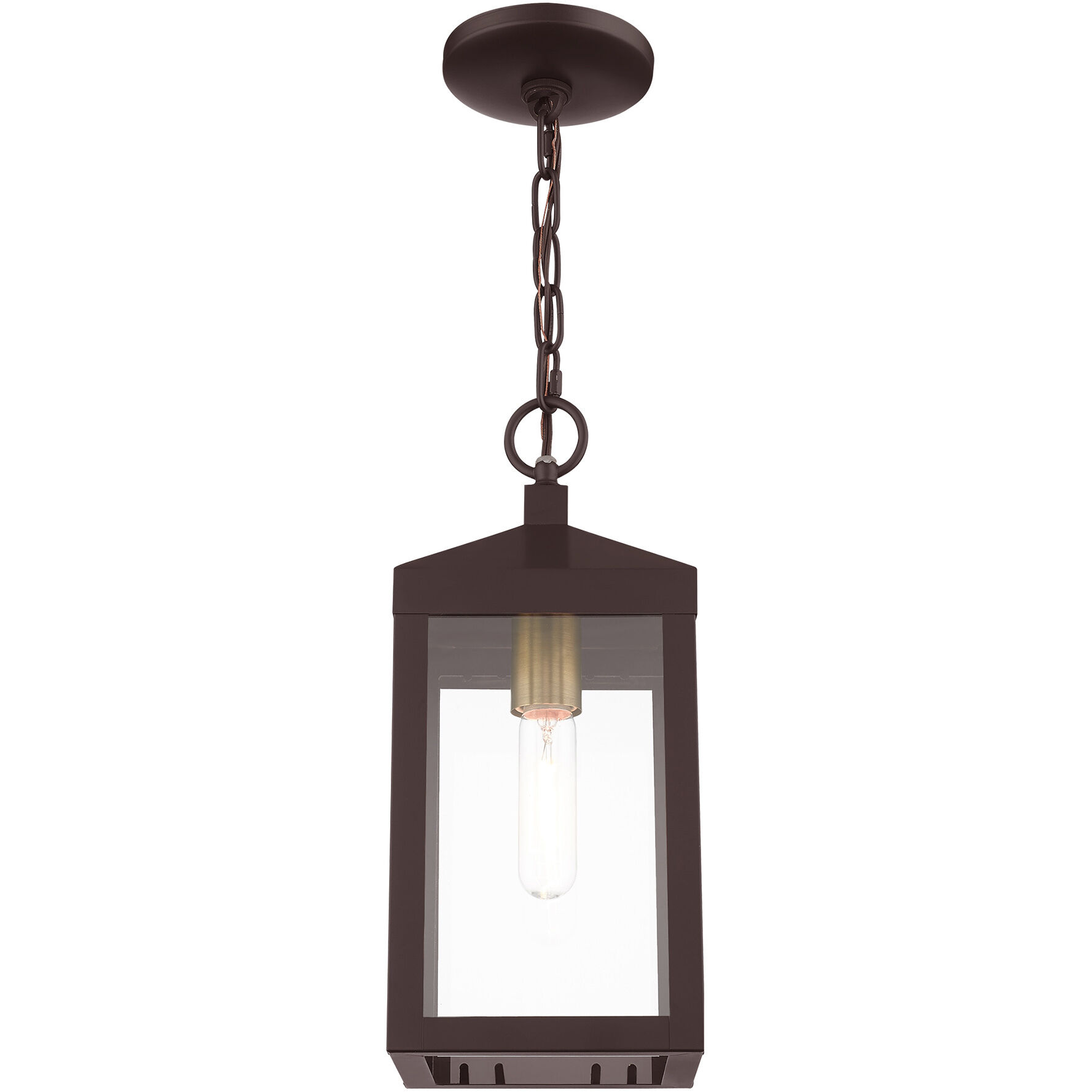 Nyack 1 Light 6 inch Bronze with Antique Brass Cluser Outdoor Pendant Lantern