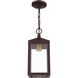 Nyack 1 Light 6 inch Bronze with Antique Brass Cluser Outdoor Pendant Lantern