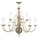 Williamsburgh 12 Light 32 inch Antique Brass Chandelier Ceiling Light