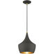 Waldorf 1 Light 9.5 inch Bronze with Antique Brass Finish Accents Pendant Ceiling Light in Bronze with Antique Brass Accent