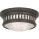 Berwick 2 Light 11 inch Bronze Flush Mount Ceiling Light