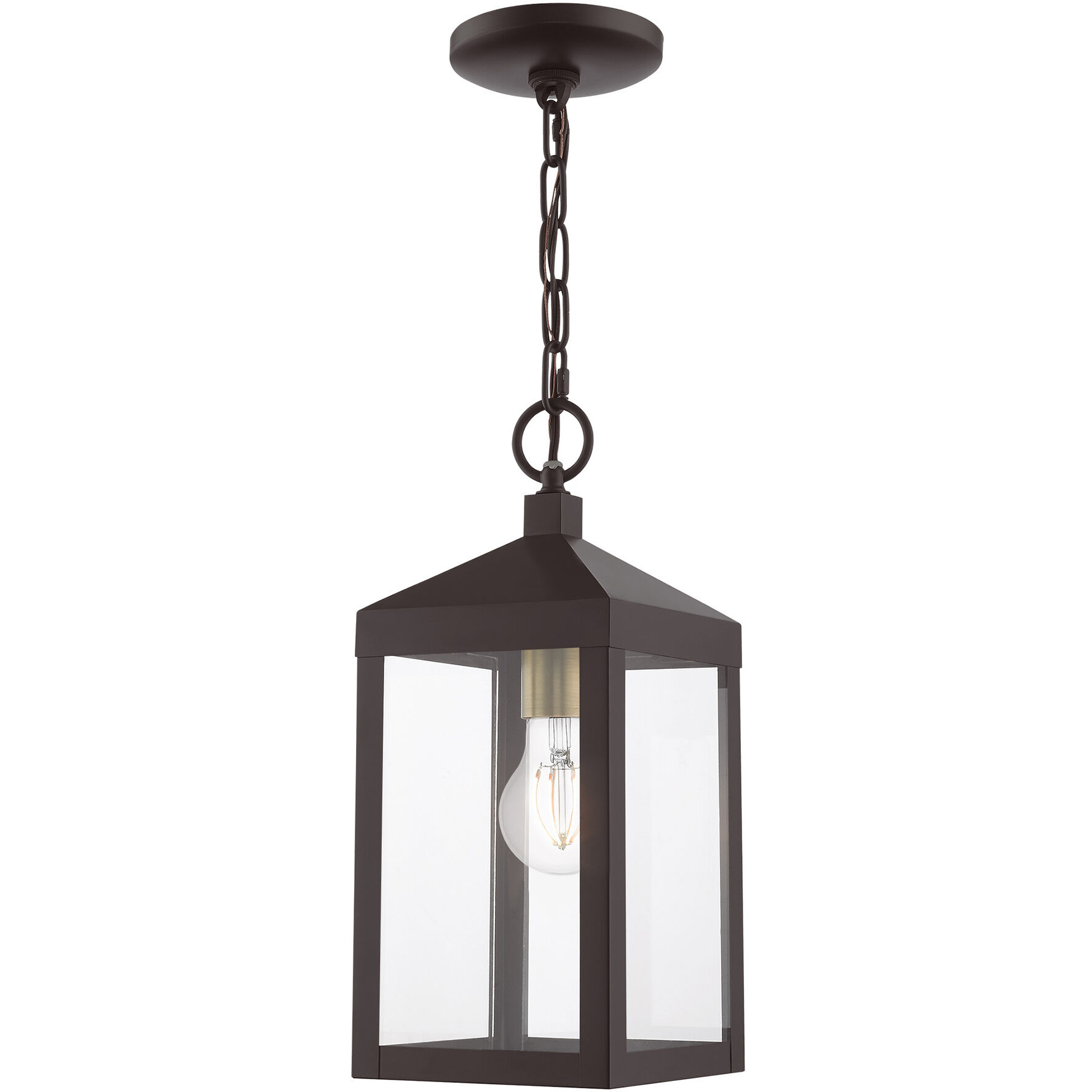 Nyack 1 Light 6 inch Bronze with Antique Brass Cluser Outdoor Pendant Lantern