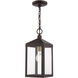 Nyack 1 Light 6 inch Bronze with Antique Brass Cluser Outdoor Pendant Lantern