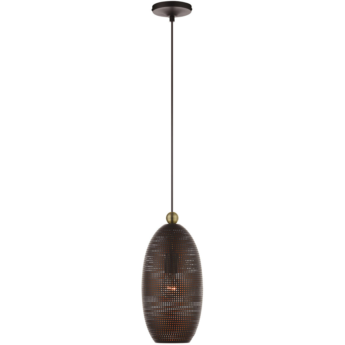 Dublin 1 Light 7 inch Bronze with Antique Brass Accents Pendant Ceiling Light