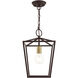 Devone 1 Light 10 inch Bronze Convertible Semi Flush/Lantern Ceiling Light