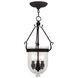 Jefferson 3 Light 10 inch Black Chain Lantern