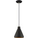 Allison 1 Light 7 inch Black Mini Pendant Ceiling Light