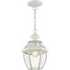 Monterey 1 Light 8.5 inch White Outdoor Pendant Lantern