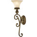 Savannah 1 Light 7 inch Venetian Patina Wall Sconce Wall Light