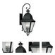 Amwell 4 Light 36 inch Black Outdoor Wall Lantern