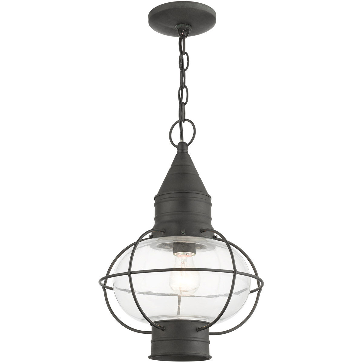 Newburyport 1 Light 11 inch Charcoal Outdoor Pendant Lantern