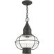 Newburyport 1 Light 11 inch Charcoal Outdoor Pendant Lantern