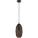 Dublin 1 Light 7 inch Bronze with Antique Brass Accents Pendant Ceiling Light