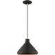 Allison 1 Light 11 inch Black Mini Pendant Ceiling Light