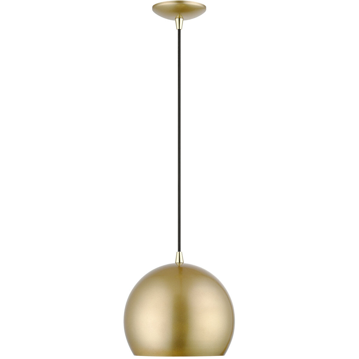 Piedmont 1 Light 10 inch Soft Gold with Polished Brass Accents Pendant Ceiling Light