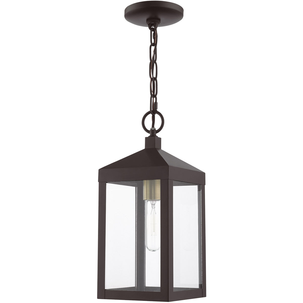 Nyack 1 Light 6 inch Bronze with Antique Brass Cluser Outdoor Pendant Lantern