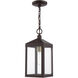 Nyack 1 Light 6 inch Bronze with Antique Brass Cluser Outdoor Pendant Lantern