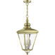 Adams 3 Light 10.63 inch Antique Brass with Brushed Nickel Finish Cluster Outdoor Large Pendant Lantern Ceiling Light