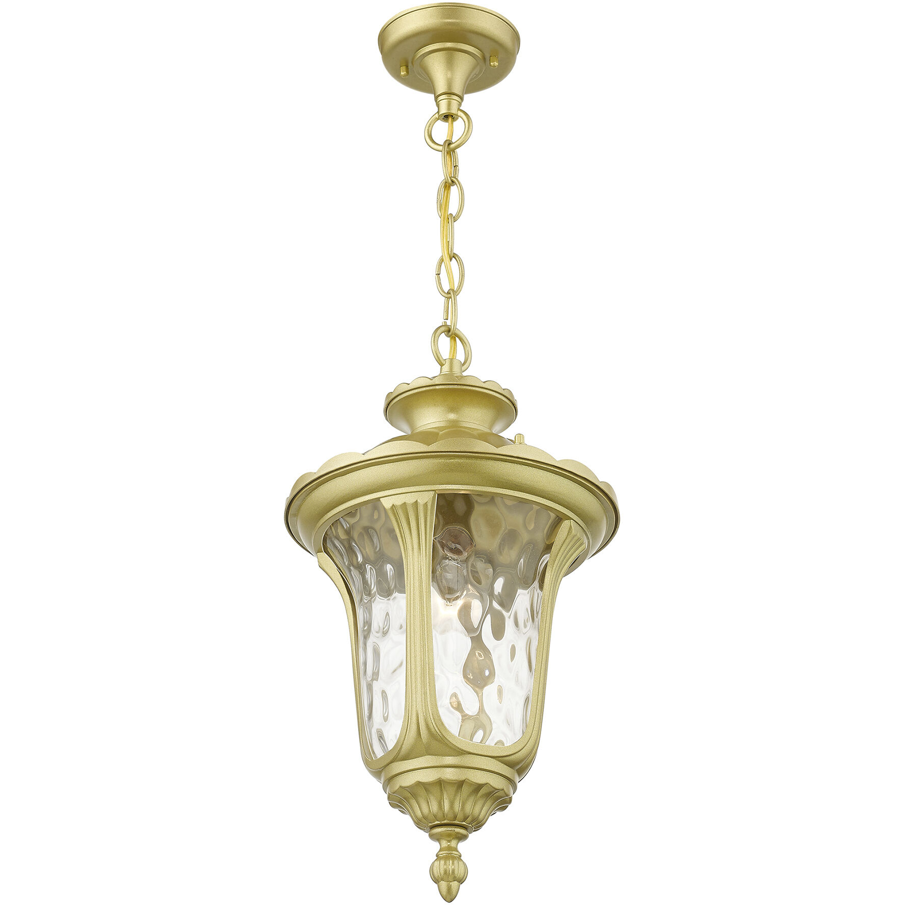 Oxford 1 Light 9.5 inch Soft Gold Outdoor Pendant Lantern, Medium