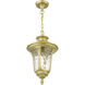 Oxford 1 Light 9.5 inch Soft Gold Outdoor Pendant Lantern, Medium