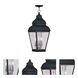 Exeter 3 Light 10 inch Black Outdoor Pendant Lantern