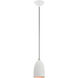 Arlington 1 Light 6 inch White with Brushed Nickel Accents Pendant Ceiling Light
