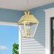 Wentworth 3 Light 12 inch Natural Brass Outdoor Pendant Lantern, Large