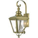 Adams 2 Light 21.5 inch Antique Brass with Brushed Nickel Finish Cluster Outdoor Wall Lantern, Medium