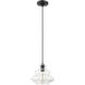 Everett 1 Light 9 inch Shiny Black with Chrome Finish Accents Pendant Ceiling Light