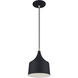 Bolita 8 inch Black with Brushed Nickel Accents Pendant Ceiling Light