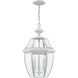 Monterey 3 Light 12.5 inch White Outdoor Pendant Lantern