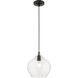 Aldrich 1 Light 10 inch Black with Brushed Nickel Accent Pendant Ceiling Light