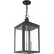 Nyack 3 Light 11 inch Scandinavian Gray Outdoor Pendant Lantern