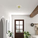 Willow 1 Light 5.75 inch Satin Brass Flush Mount Ceiling Light