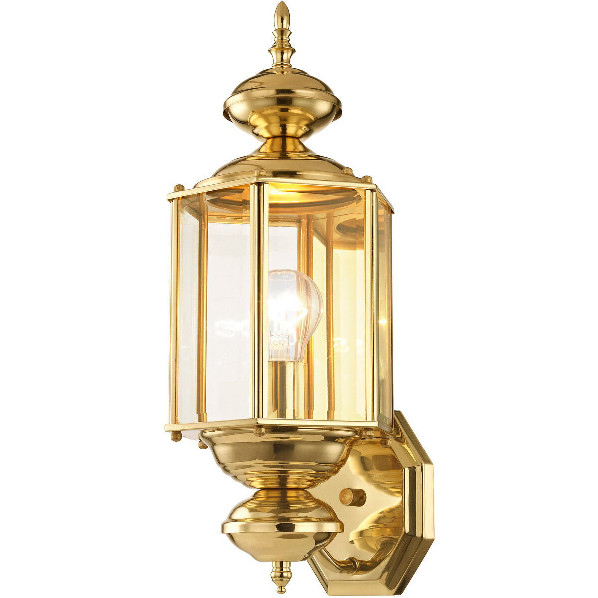 Outdoor Basics 1 Light 17 inch Polished Brass Outdoor Wall Lantern