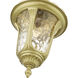 Oxford 1 Light 9.5 inch Soft Gold Outdoor Pendant Lantern, Medium