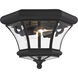 Monterey/Georgetown 2 Light 11 inch Black Outdoor Ceiling Mount