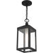 Nyack 1 Light 6 inch Black with Brushed Nickel Cluster Outdoor Pendant Lantern
