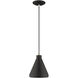Allison 1 Light 7 inch Black Mini Pendant Ceiling Light