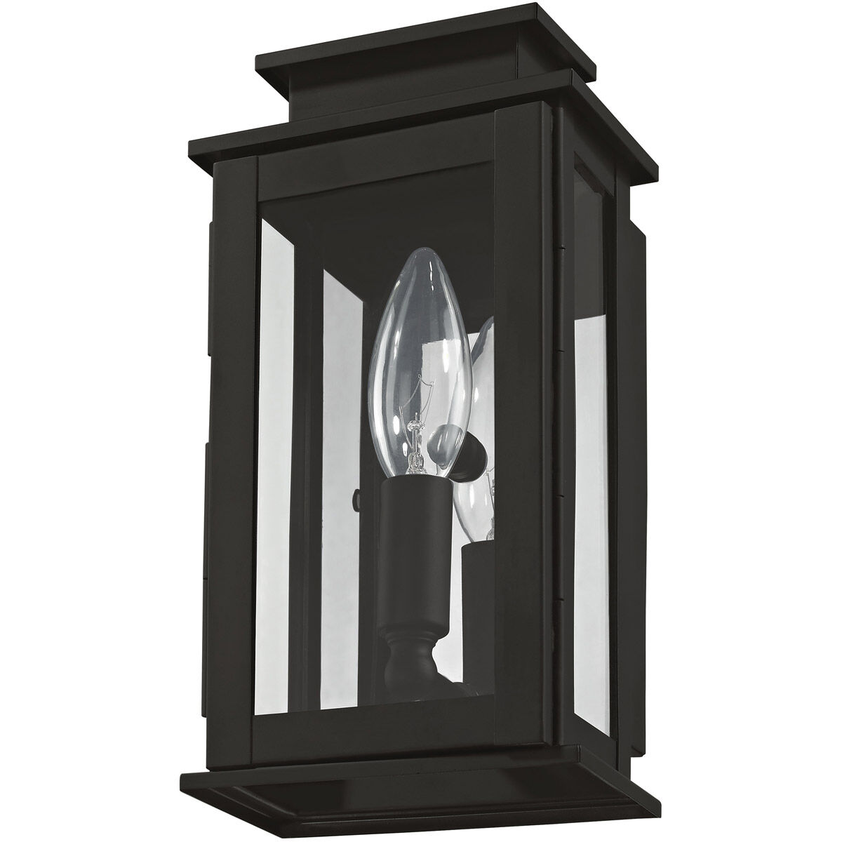 Princeton 1 Light 9 inch Black Outdoor Wall Lantern